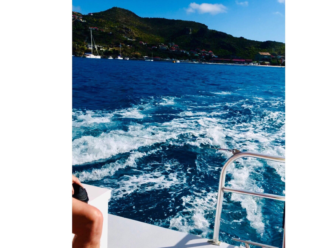 Plongee Caraibes Catamaran-居斯塔维亚必去景点