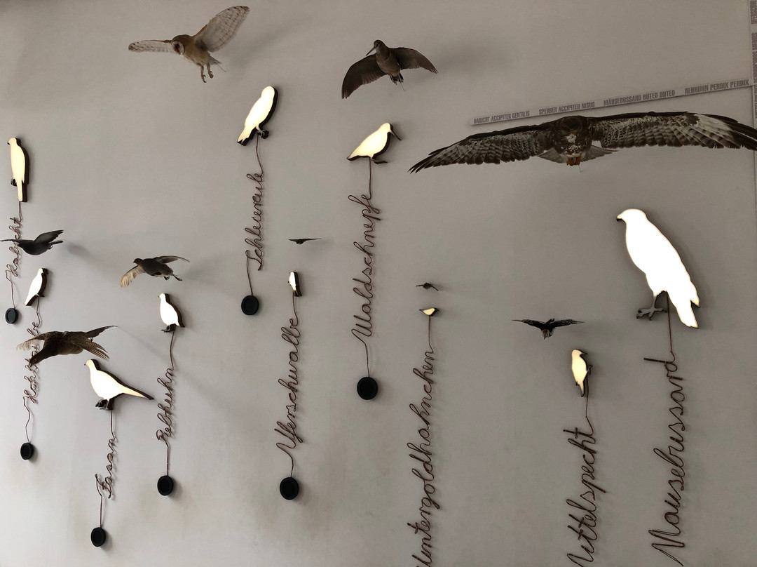Landesmuseum Natur Und Mensch Oldenburg-奥尔登堡必去景点