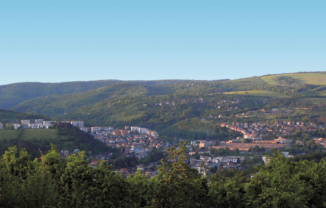 The Forest House主图