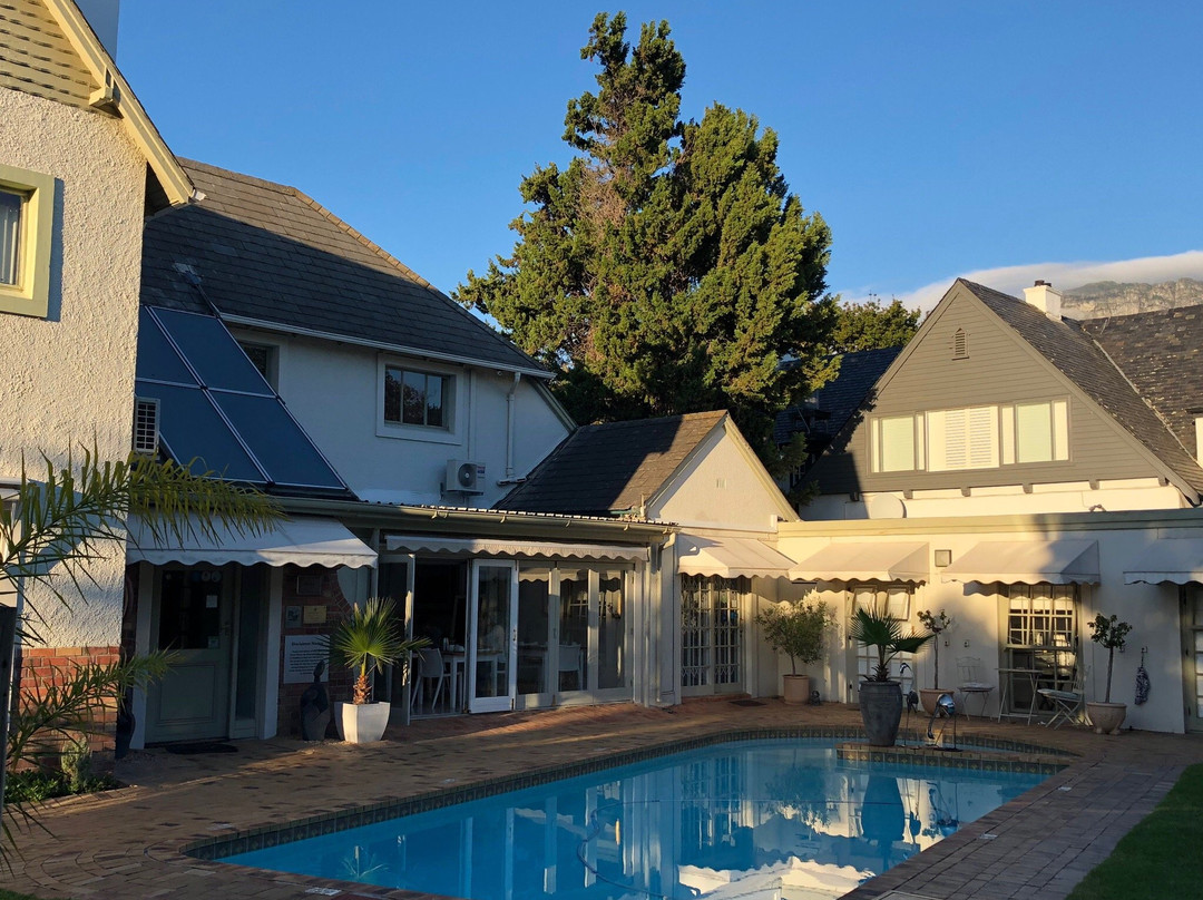 野生橄榄豪华宾馆主图