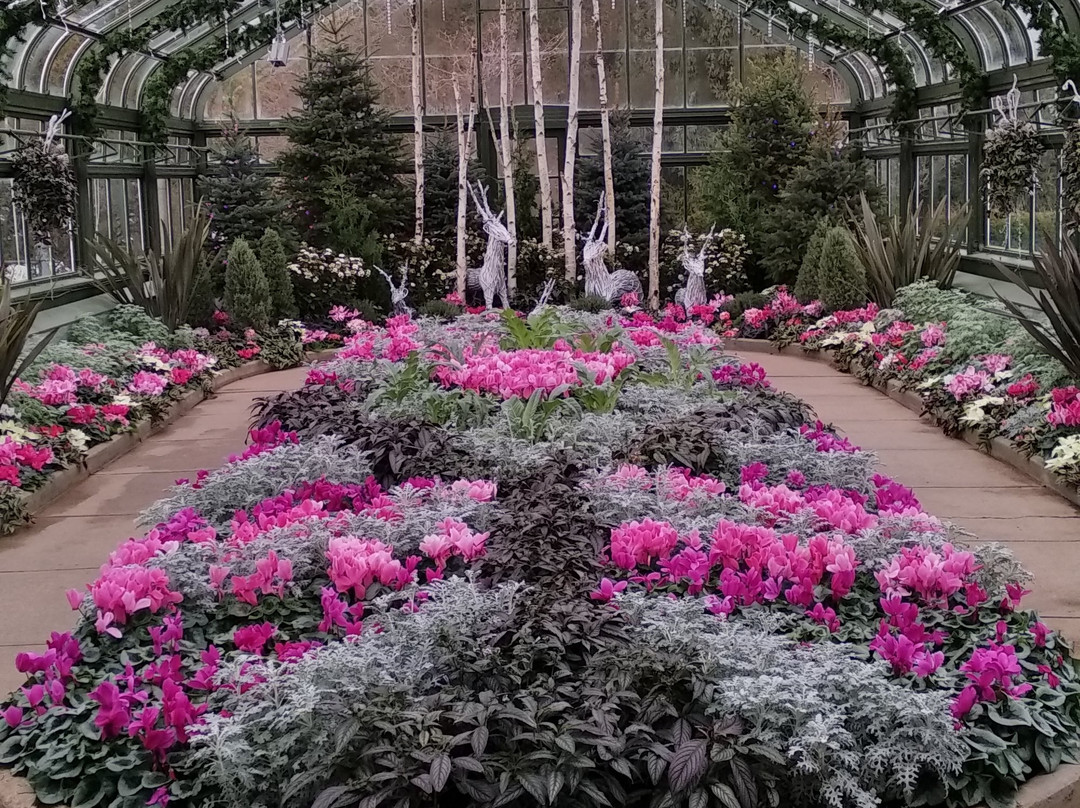 Niagara Parks Floral Showhouse-尼亚加拉大瀑布必去景点