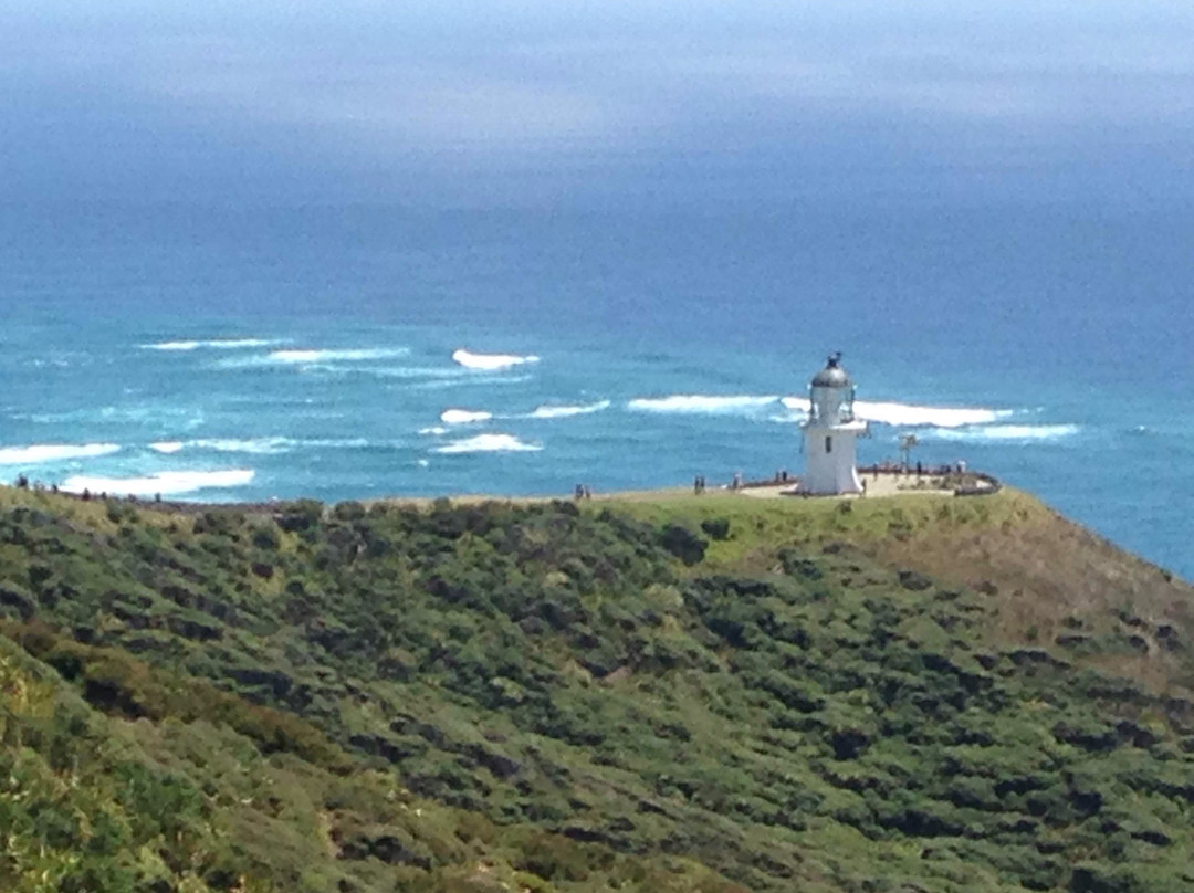 Cape Reinga Adventures Day Tours景点图片