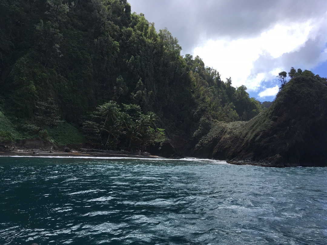 Découverte des Dauphins avec Jean-Guy-Le Precheur必去景点