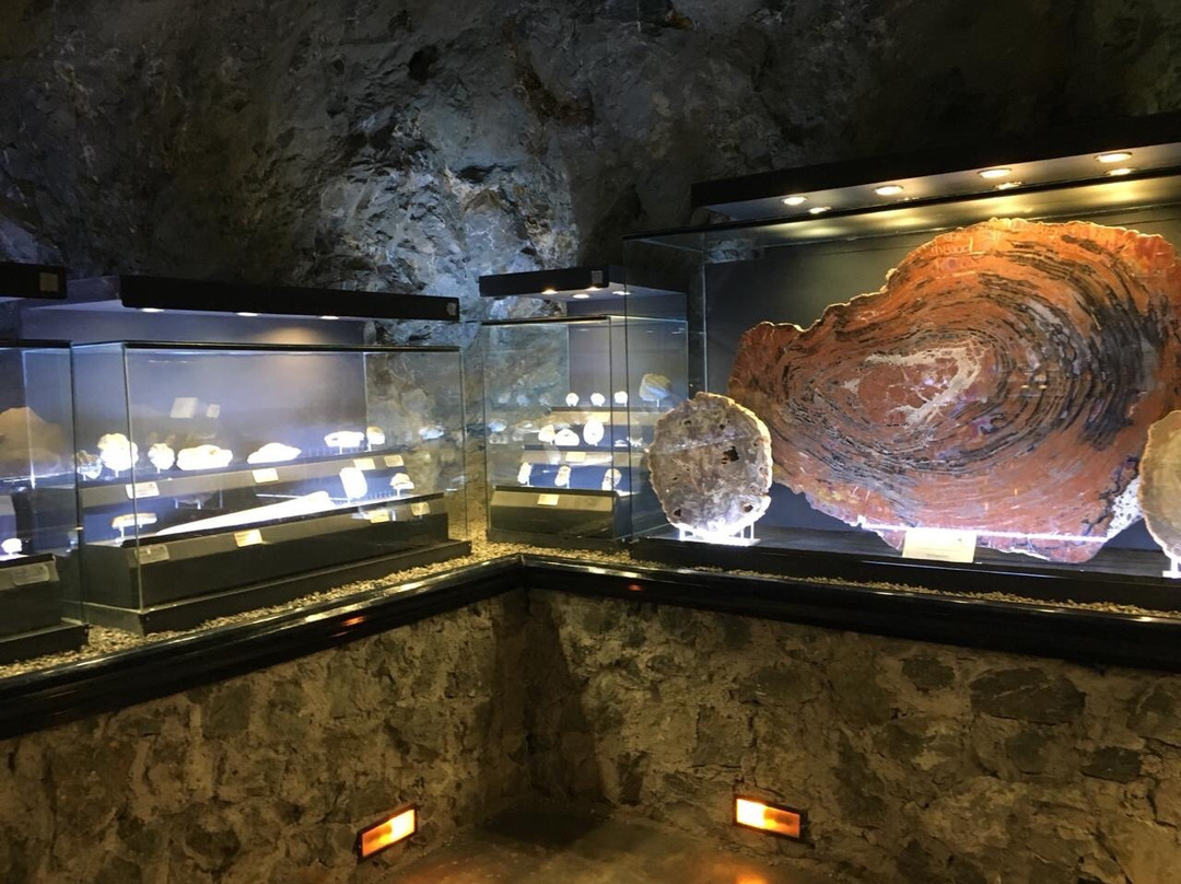 Museo De Minerales & Fosiles-萨卡特卡斯必去景点