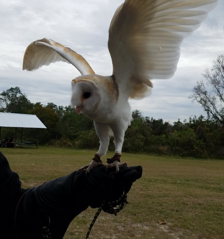 Avian Reconditioning Center-Apopka必去景点