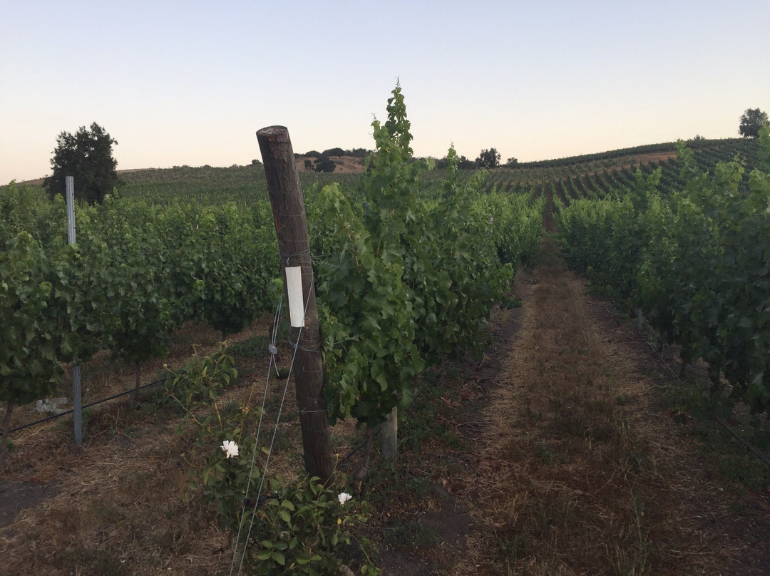 Observatorio Toki Kura-卡萨布兰卡必去景点