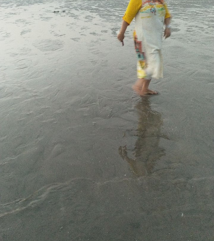 The Beach At Mandvi Palace景点图片