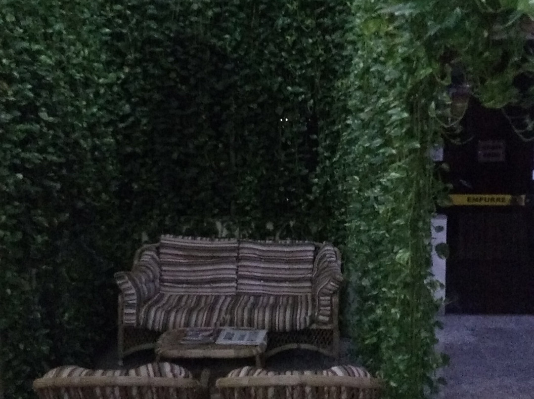 Pousada dos Girassois主图