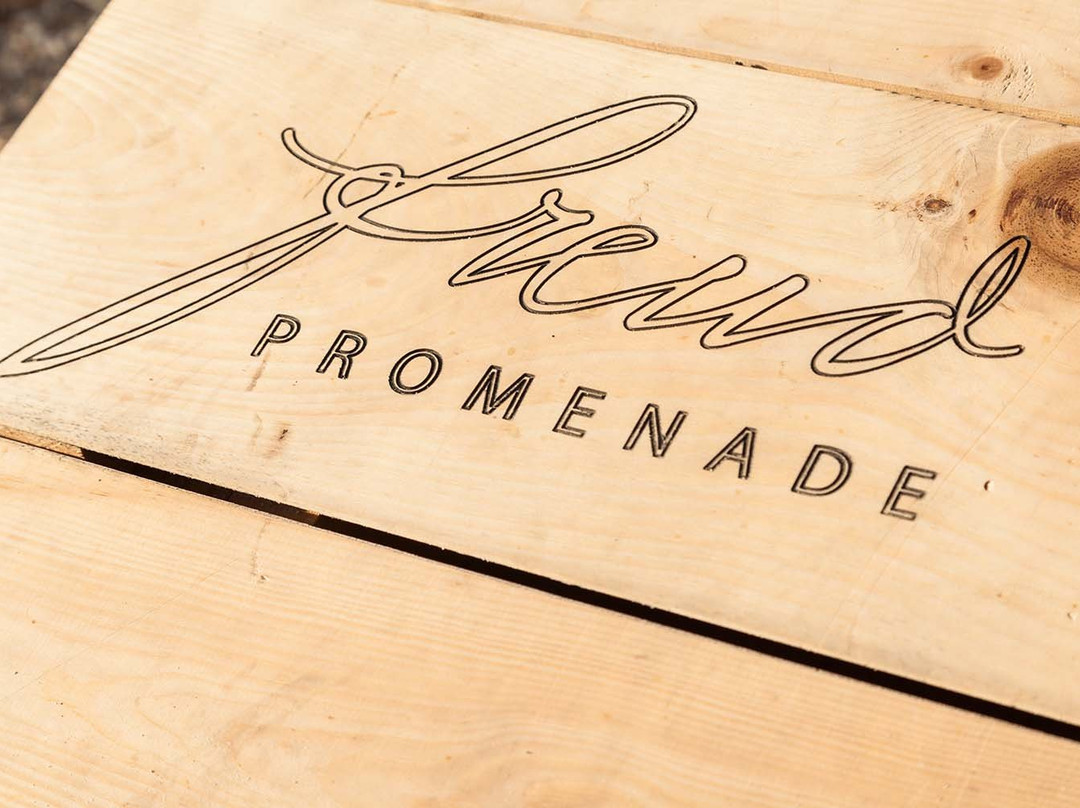 Freud Promenade-Renon必去景点