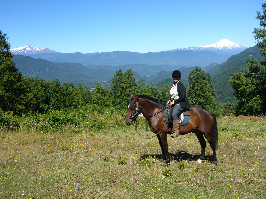Centro Ecuestre San Pedro