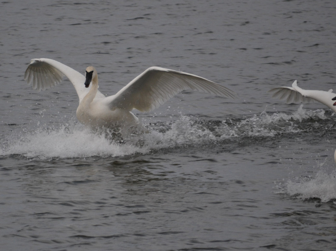 The Abbé House Inn主图