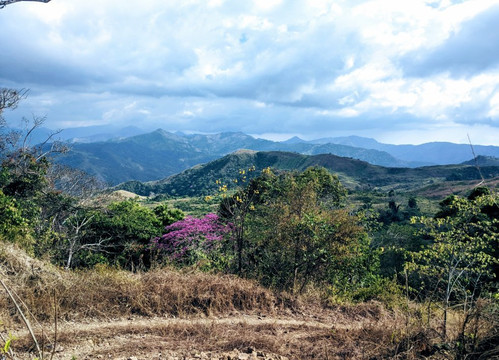 Boruca Gallery Gift Shop-Boruca必去景点