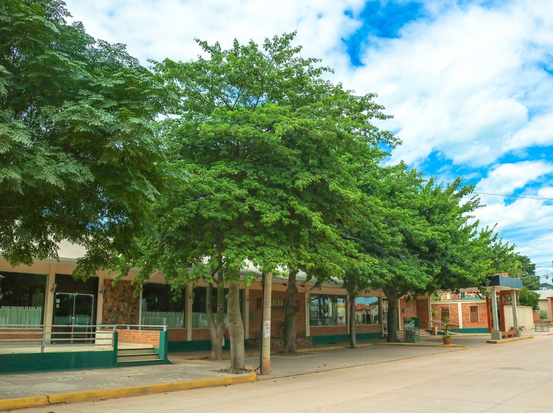 Hotel Boutique El Rancho Olivo主图