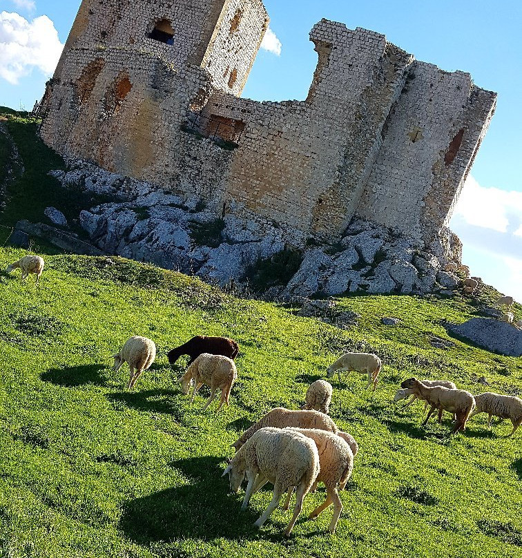 Castillo de la Estrella景点图片