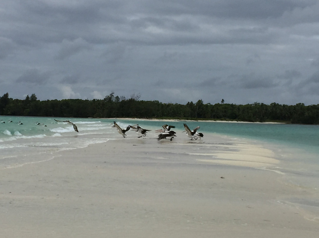 Ngurtafur Beach-Warbal必去景点