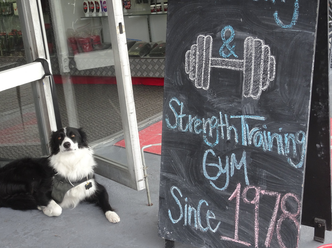 San Clemente Downtown District-圣克莱蒙顿必去景点