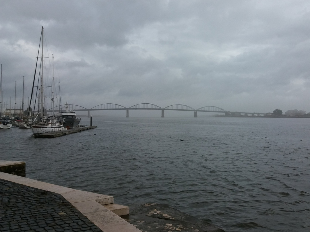Ponte Marechal Carmona景点图片