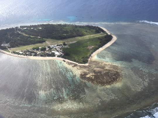 Lady Elliot Island Day Tour-埃里奥特夫人岛必去景点