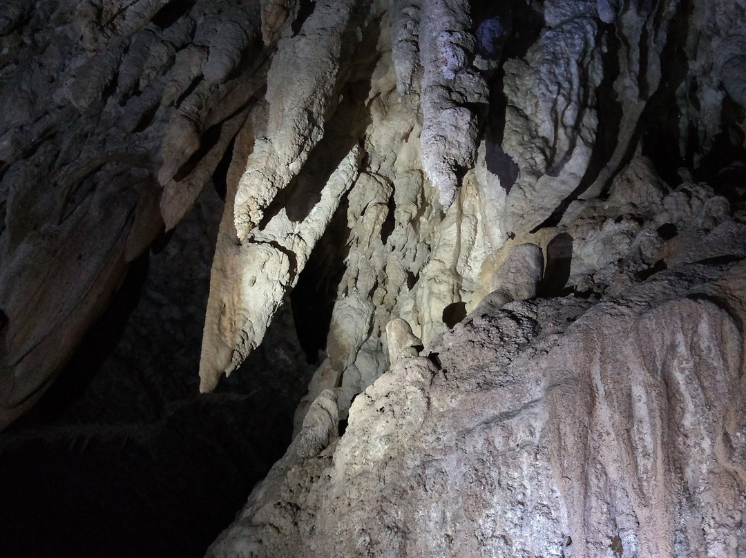 Mole Creek Caves-茉莉溪必去景点