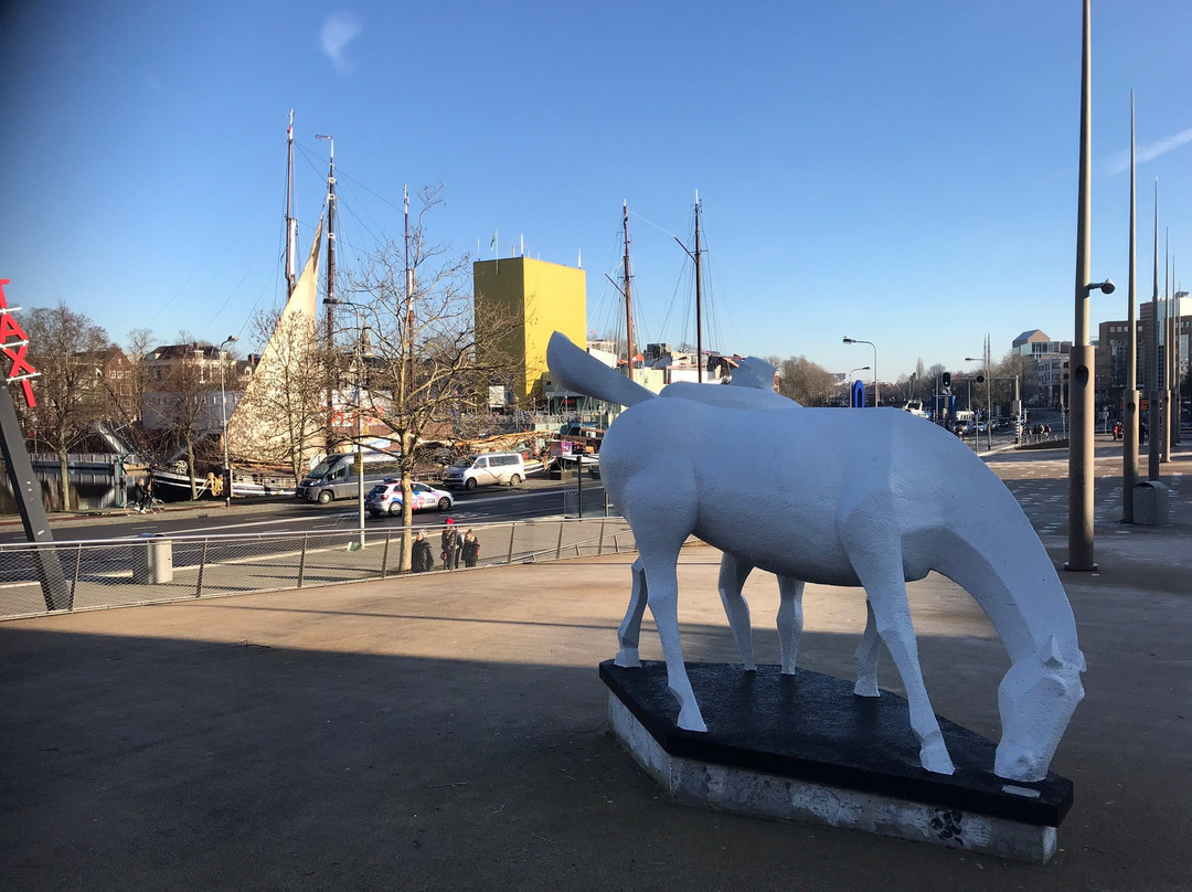 'Peerd van Ome Loeks'-格罗宁根省必去景点