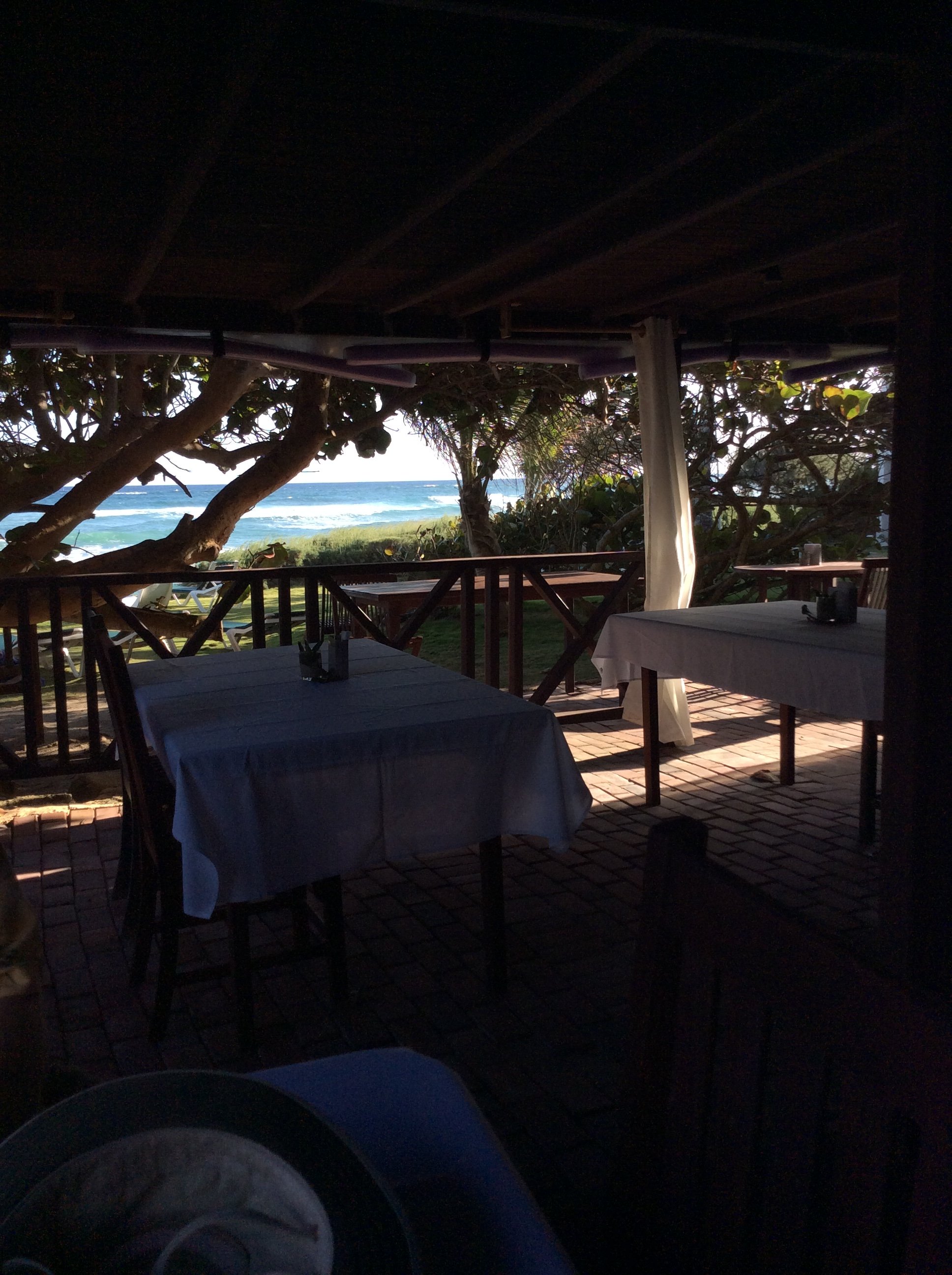 Ocean Spray Beach Apartments-餐饮
