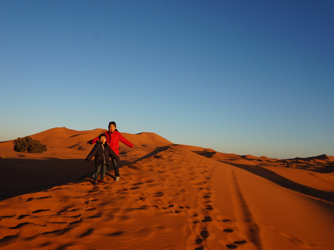 Sahara Desert Tour - Day Tours景点图片
