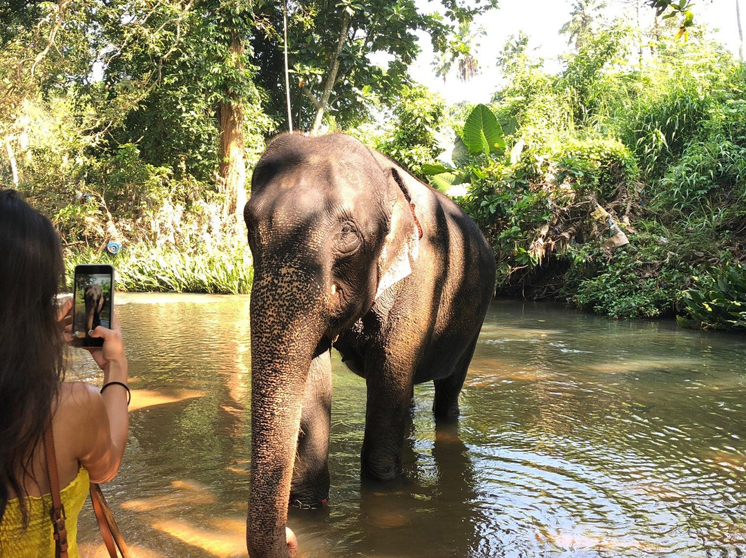 Sri Lanka Guide Tours-赛杜瓦必去景点