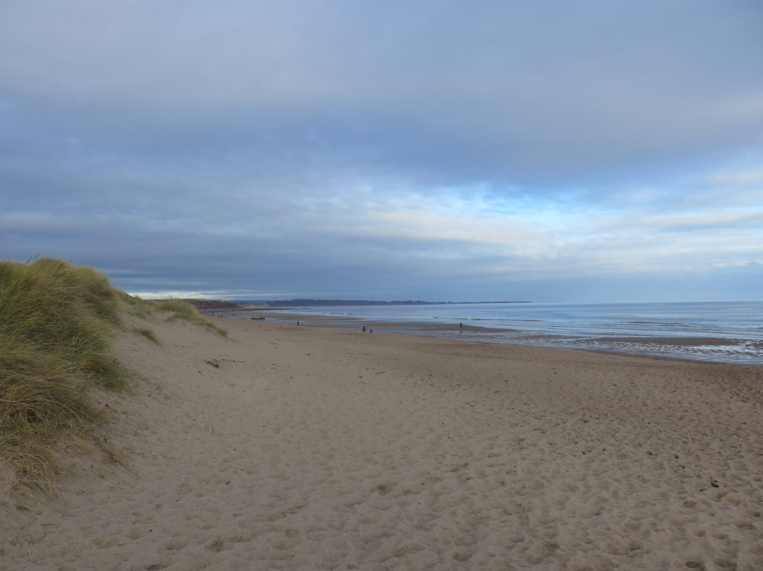 Warkworth Beach景点图片