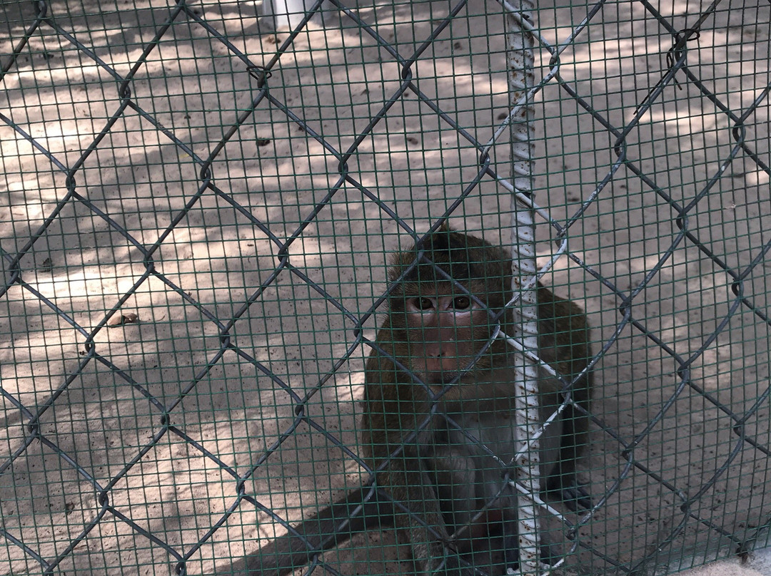 Vita Garden Mini-Zoo-藩切市必去景点