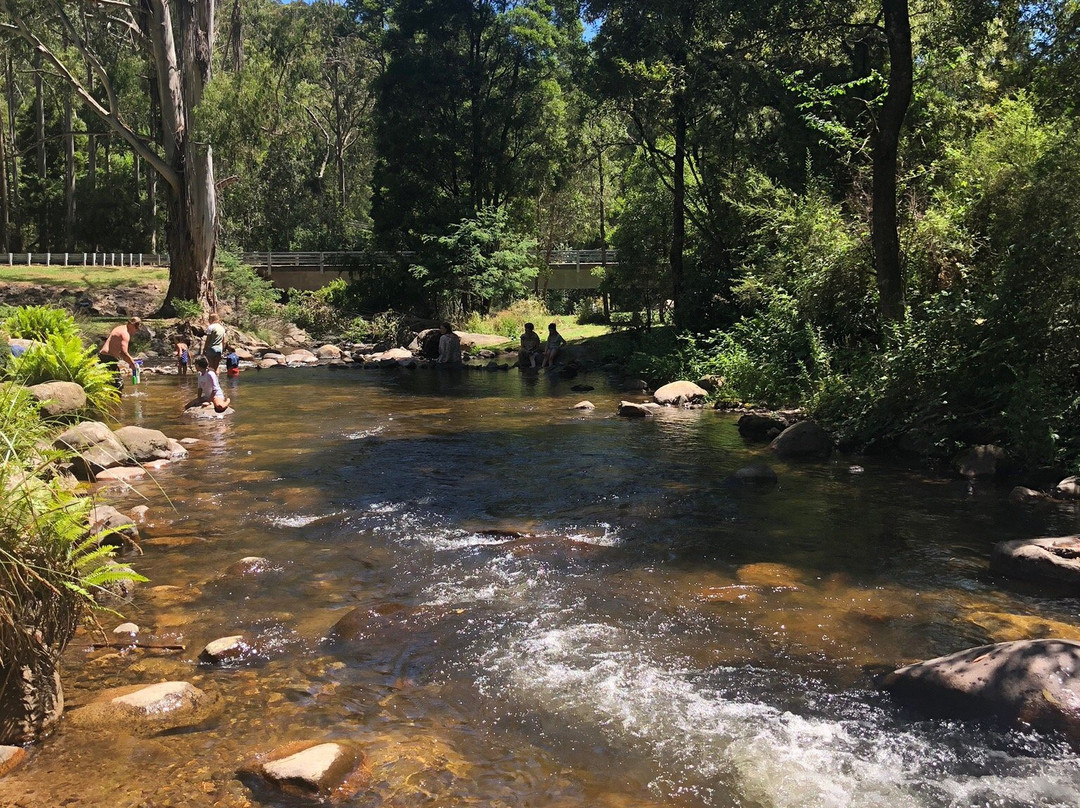 Mirimbah Park-Mirimbah必去景点