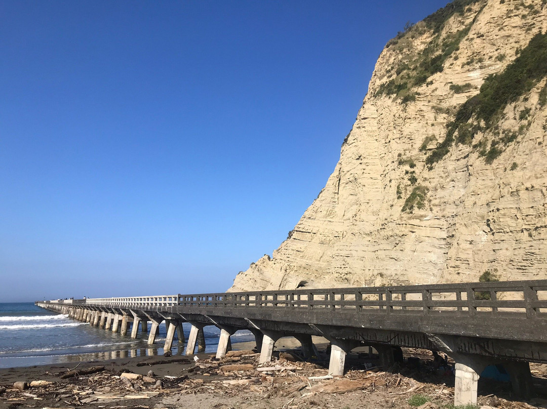 Tolaga Bay Holiday Park景点图片