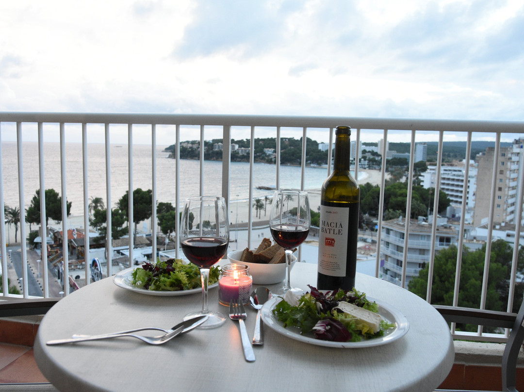 维斯塔索尔公寓主图