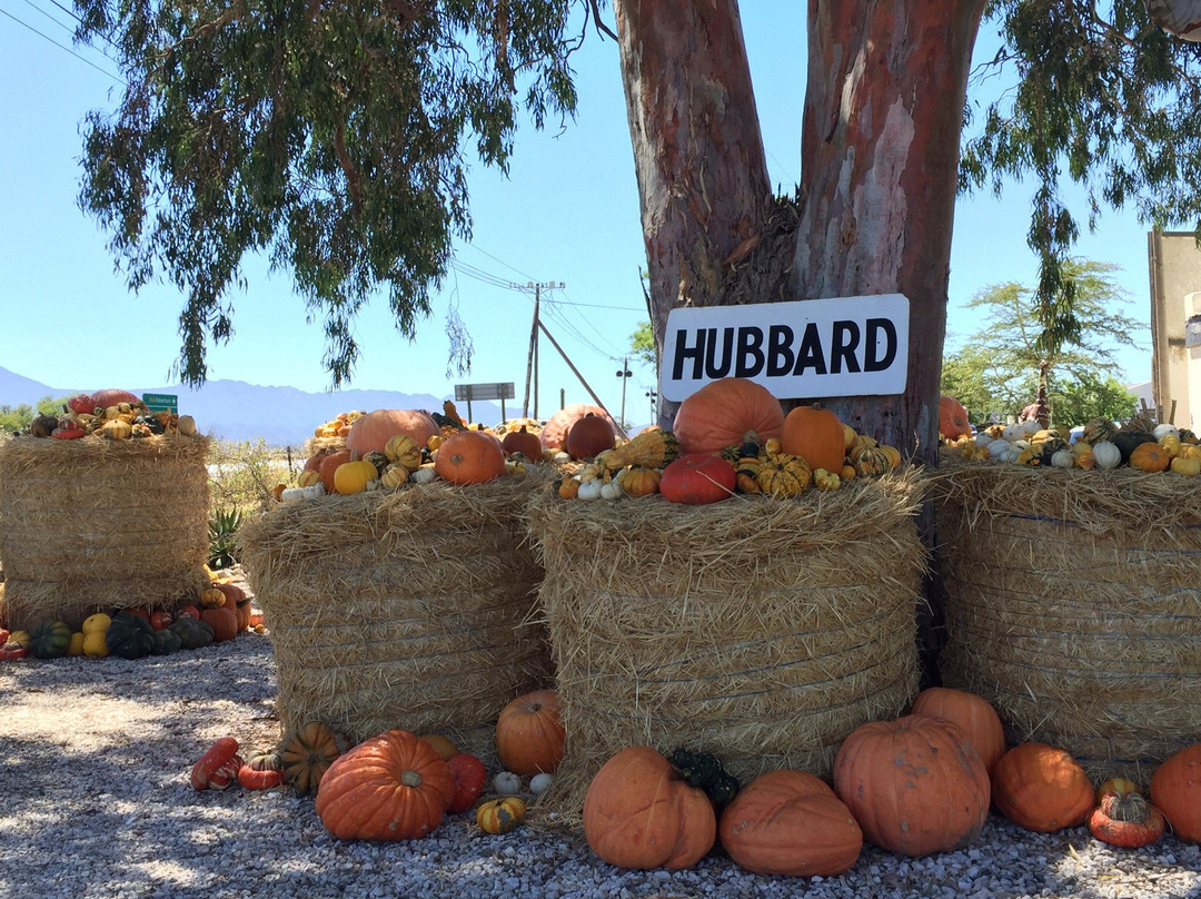 Die Pampoen Padstalletjie-伍斯特必去景点