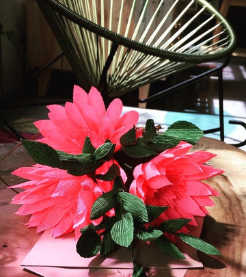 Estudio Aura-基多必去景点