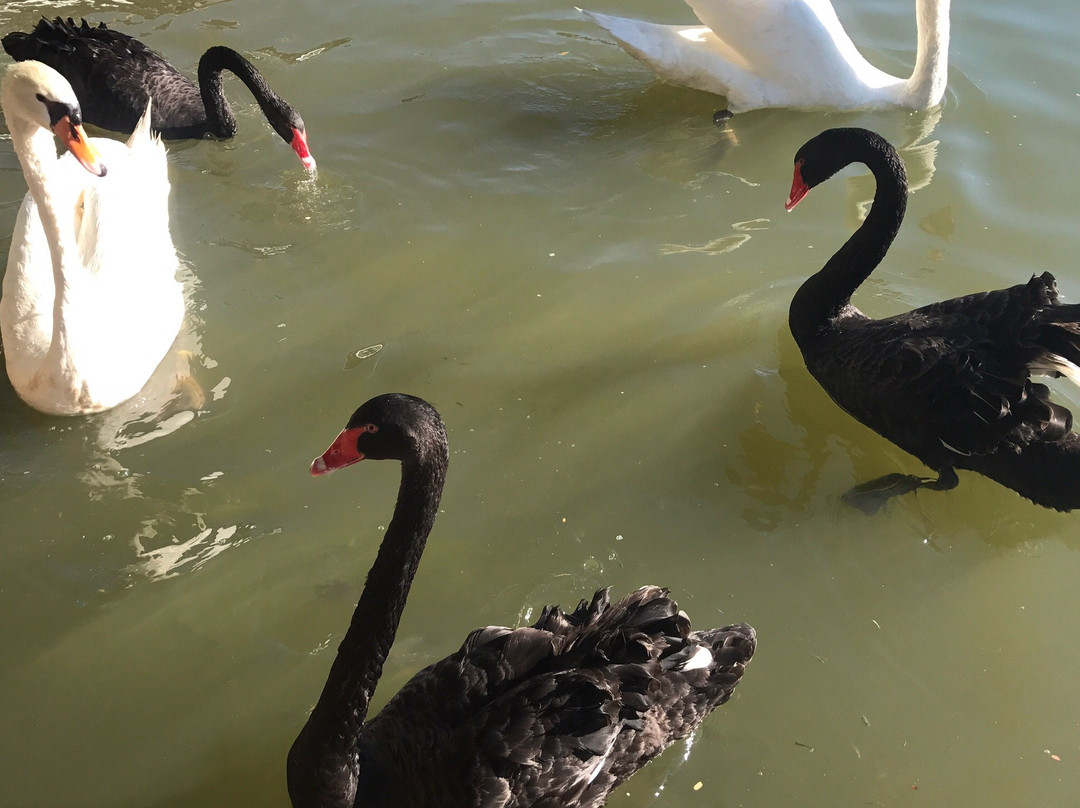 Swankiri Exclusive Farm Resort主图