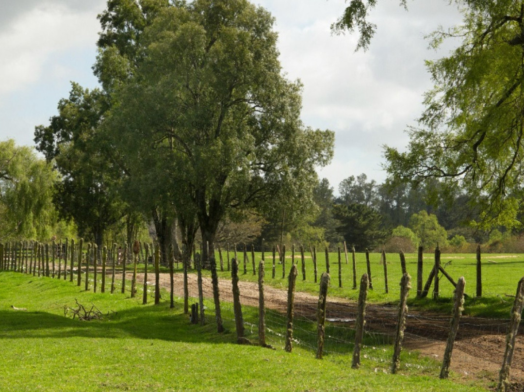 Quesos Chiriuco-Puerto Octay必去景点