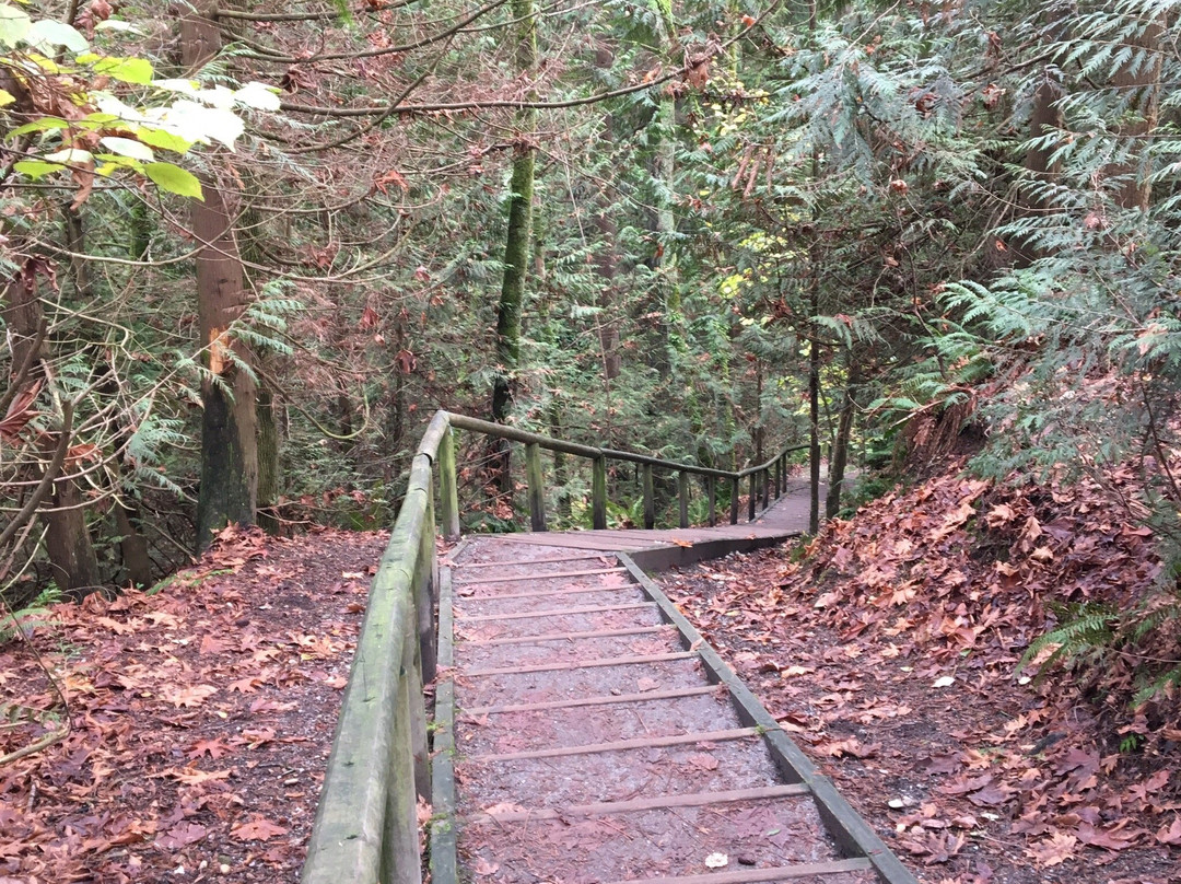 Byrne Creek Ravine Park景点图片