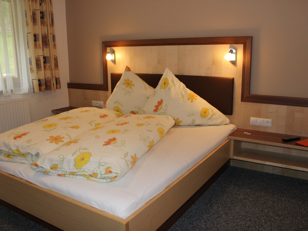 Haus Alpina & Landhaus Schopf主图