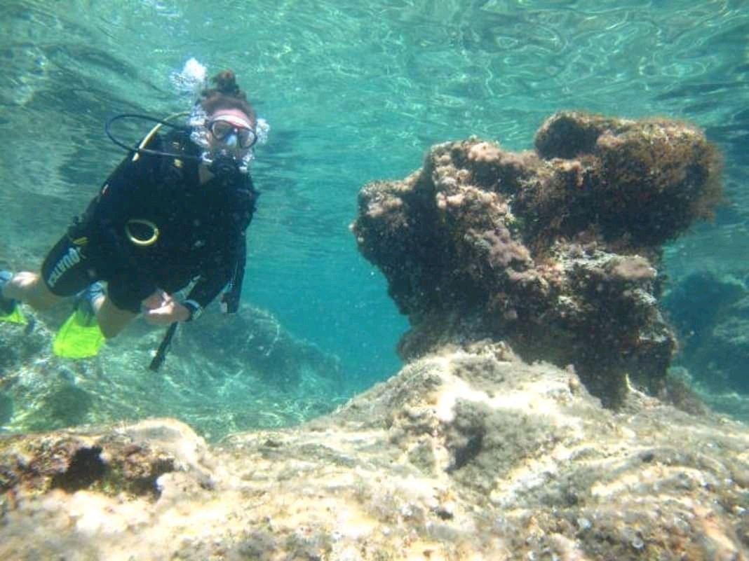Aquatica Dive Centre景点图片