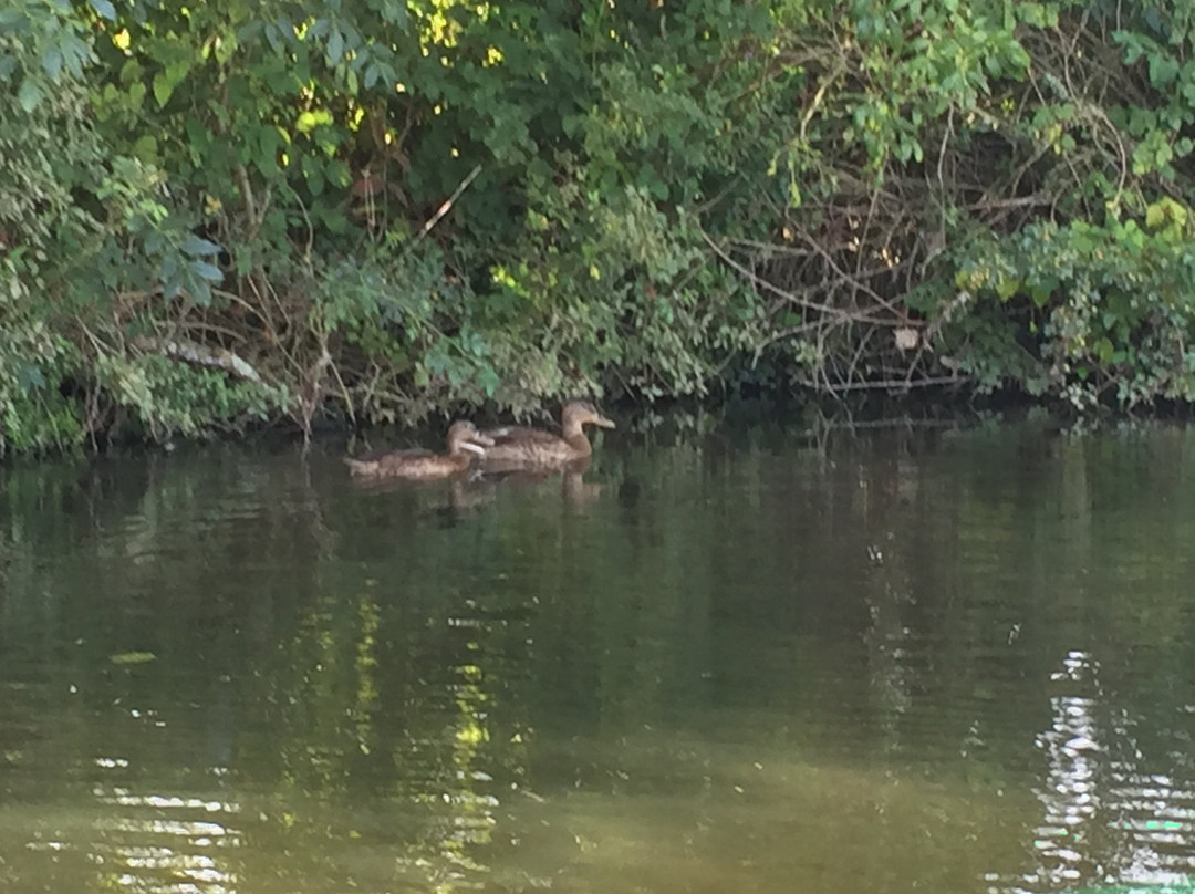Canoë Vendée-La Chaize Giraud必去景点