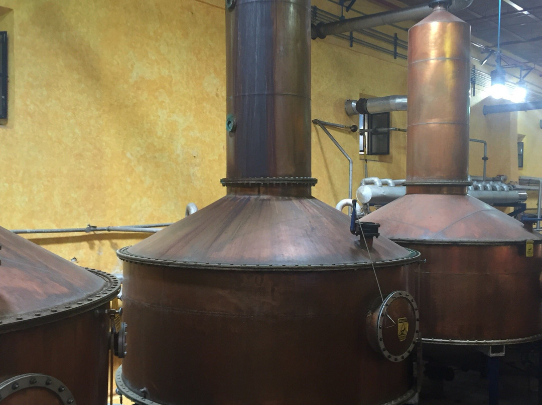 Jose Cuervo Forum-特基拉必去景点