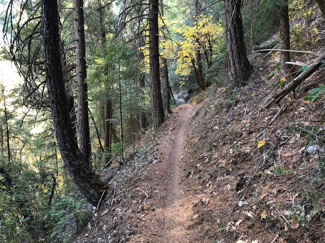 The Downieville Downhill-Downieville必去景点