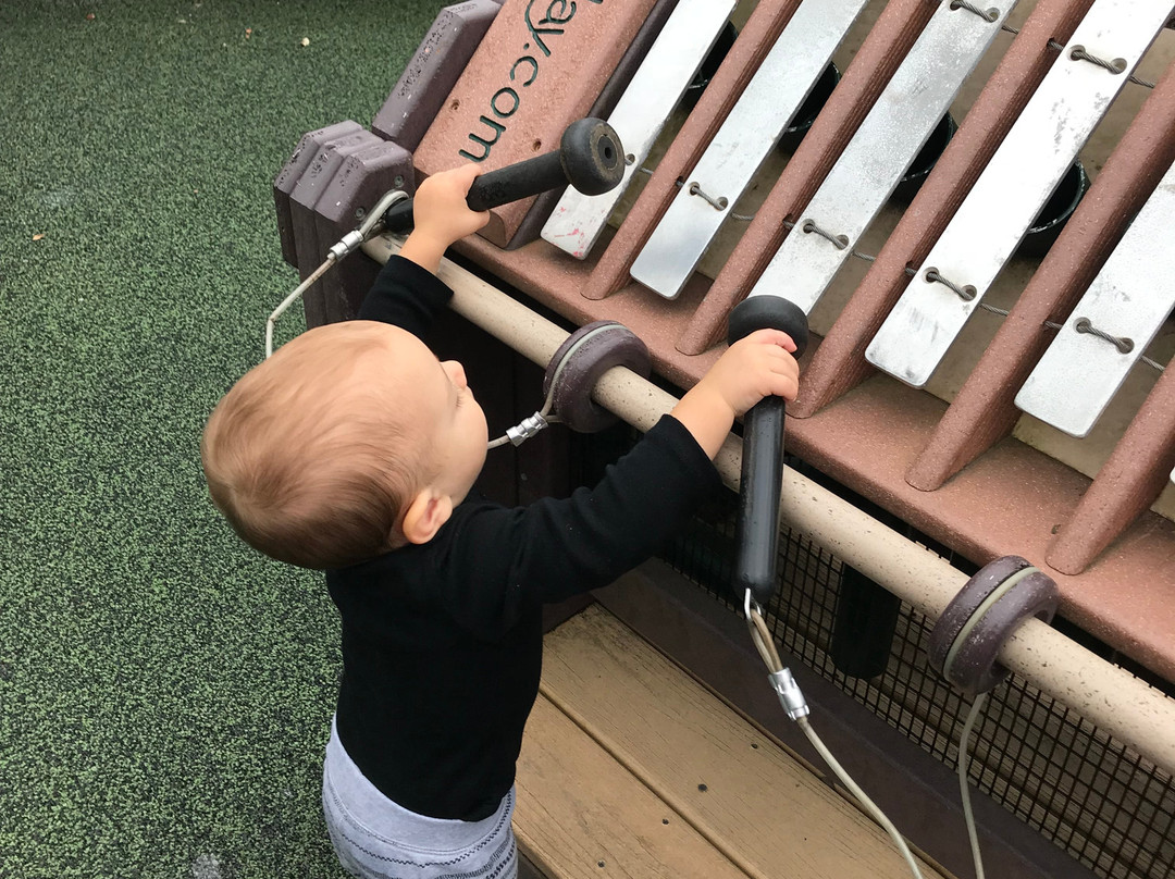 Dogwood park-库克维尔必去景点