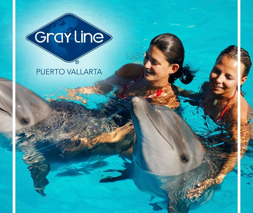 Gray Line Puerto Vallarta景点图片