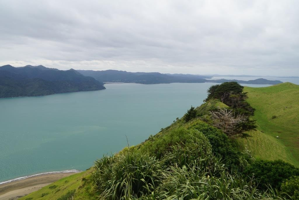 Manukau Heads Lighthouse景点图片