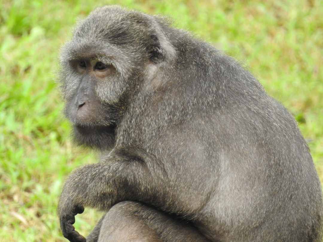 Chidiyatapu Biological Park景点图片