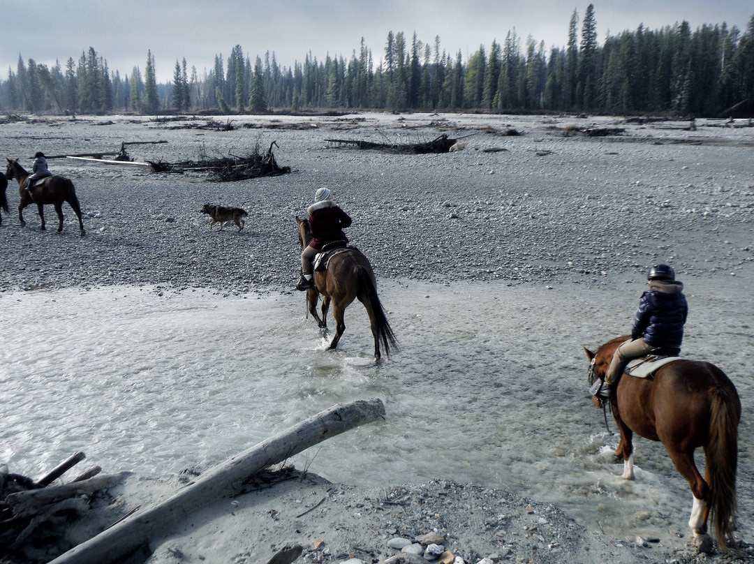 Il Nido Country Inn主图