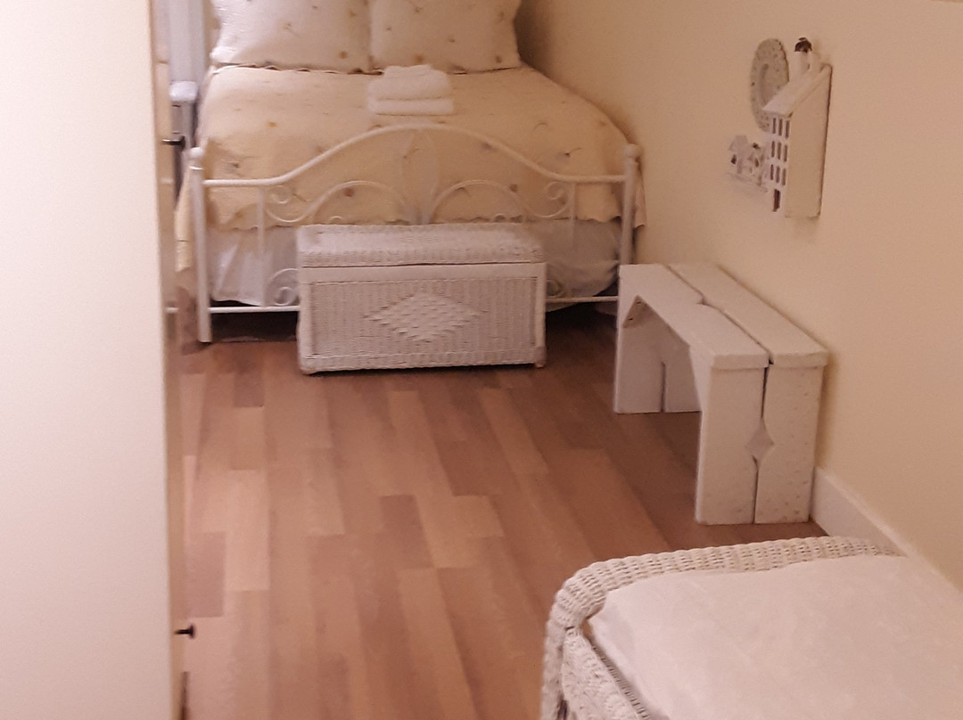 Carpenter's Guest House主图