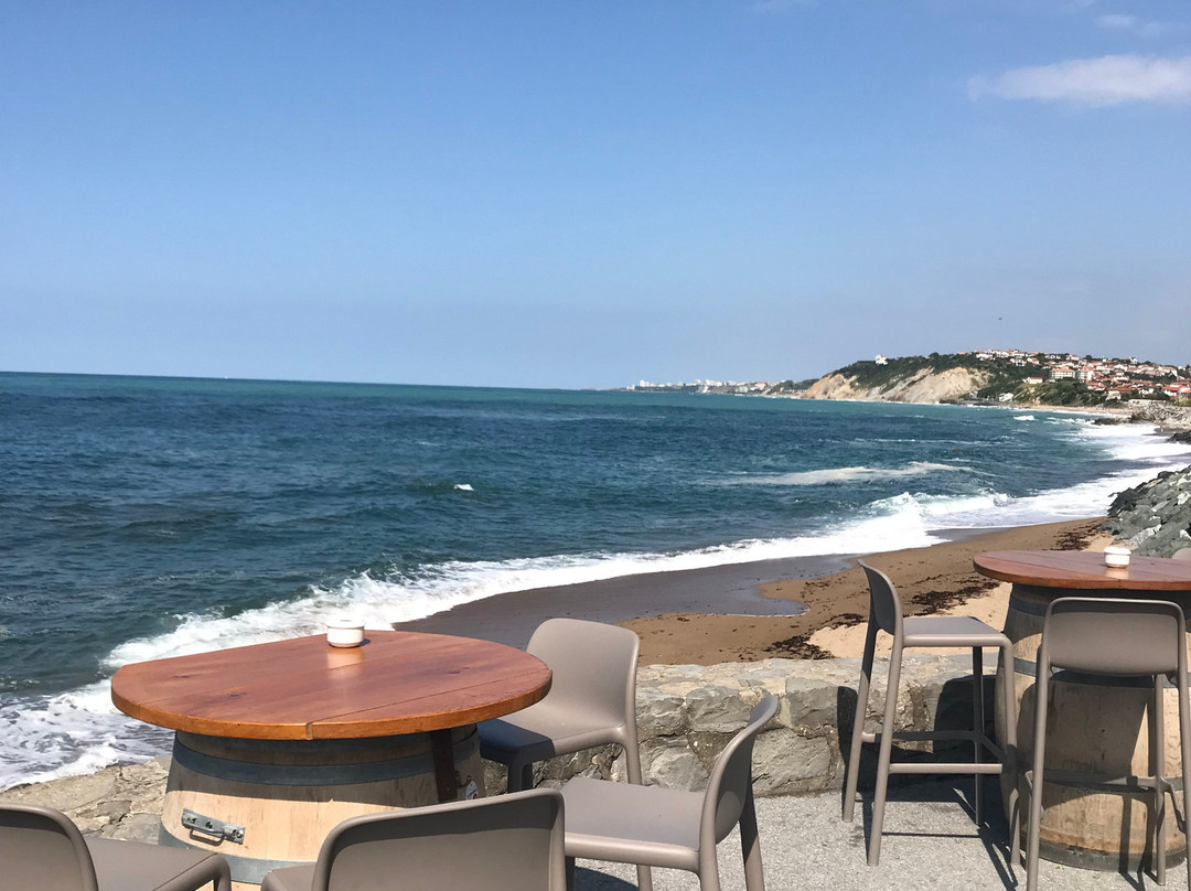 Plage de Parlementia景点图片