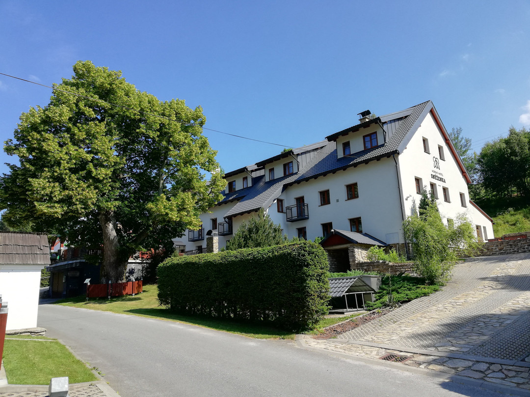 Dolni Morava酒店住宿-Horsky Hotel Snezenka